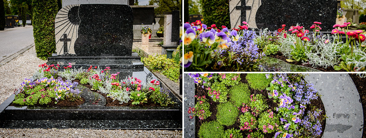 Zasaditve grobov po vasih željah