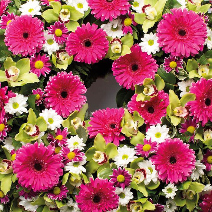 Nagrobni venec z gerberami