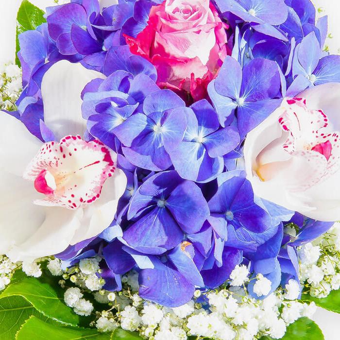 poročni šopek z orhidejo