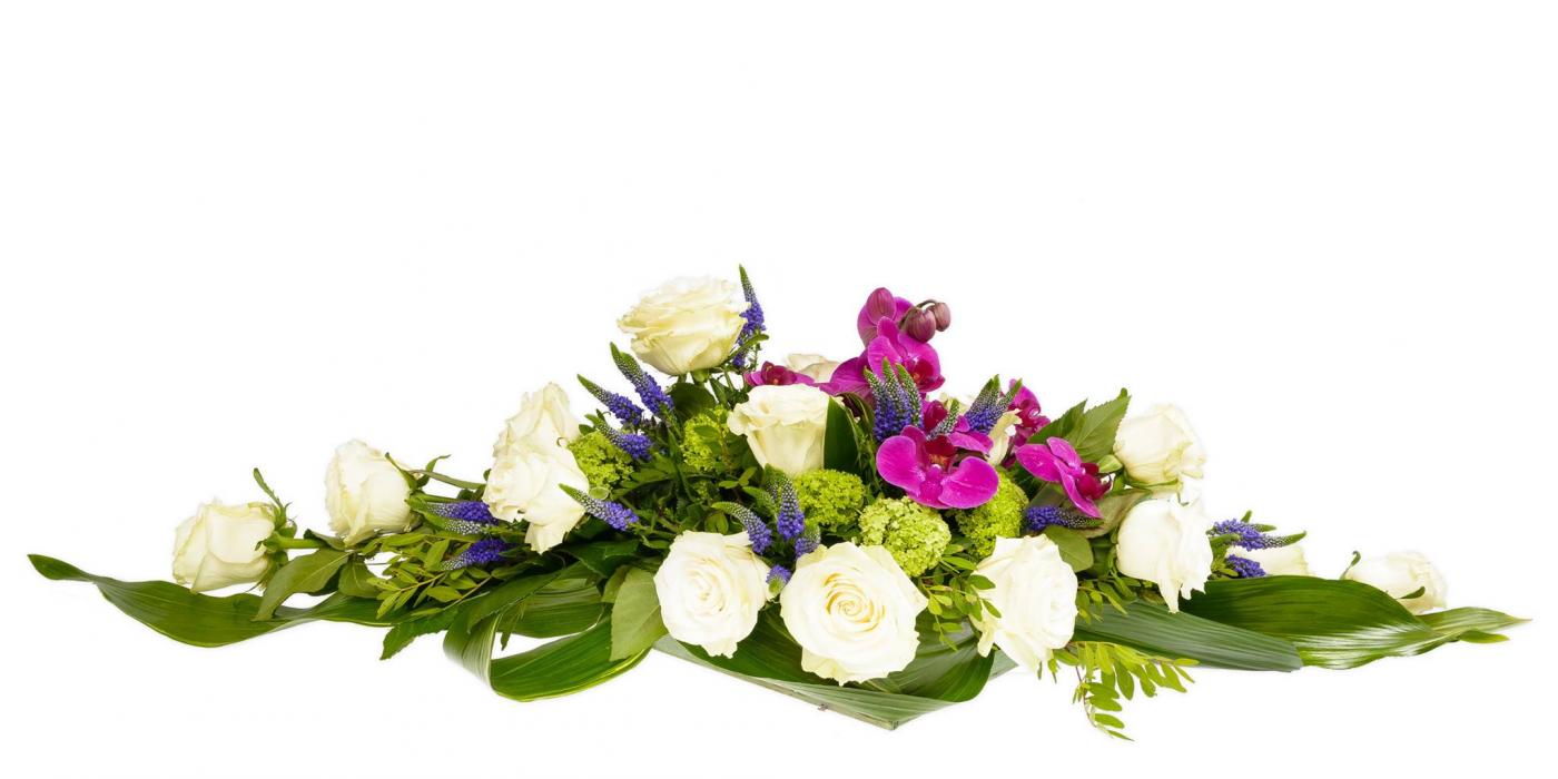 58460888 2303462983203332 3762878868738801664 o2