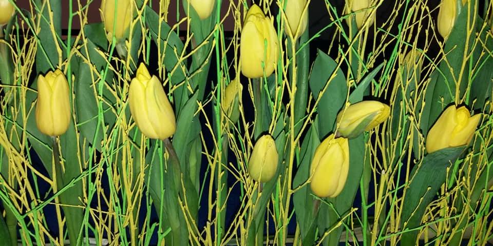 50767735 2252447914971506 2736092749659897856 n