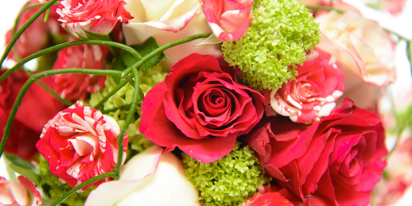 poročni šopek vrtnice rdeče bele